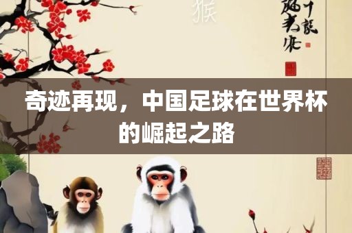 奇迹再现，中国足球在世界杯的崛起之路眉山市正发家政服务有限公司