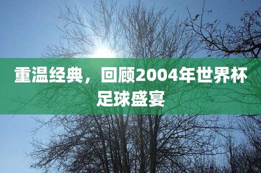 重温经典，回顾2004眉山市正发家政服务有限公司年世界杯足球盛宴