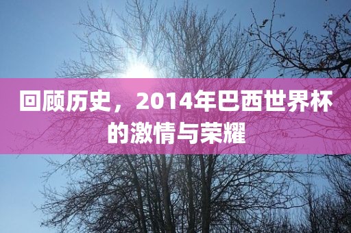 回顾历史，2014年巴西世界杯的激情眉山市正发家政服务有限公司与荣耀