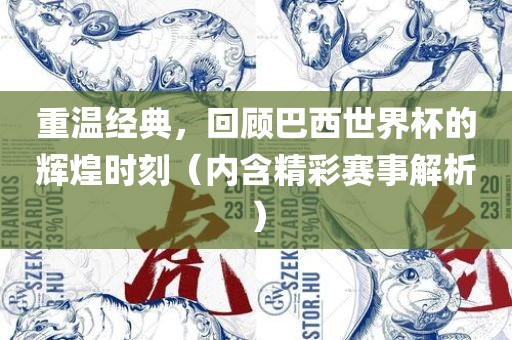 重温经典，眉山市正发家政服务有限公司回顾巴西世界杯的辉煌时刻（内含精彩赛事解析）