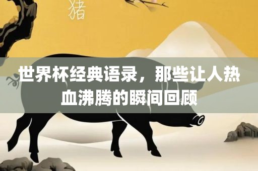世界杯经典语录，那些让人热血沸腾的瞬间回顾眉山市正发家政服务有限公司
