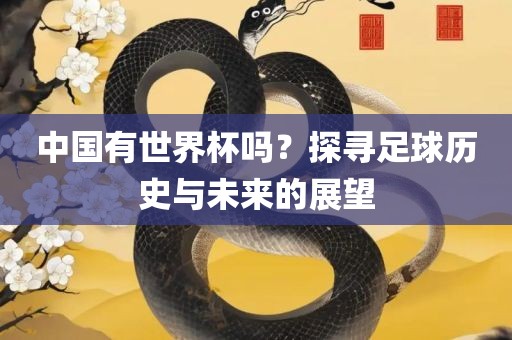 中国有世界杯吗？探寻足球历史与未来的展望眉山市正发家政服务有限公司
