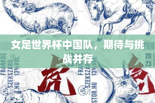 女足世界杯中国队，期待与挑战并存眉山市正发家政服务有限公司