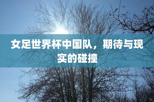 女足世眉山市正发家政服务有限公司界杯中国队，期待与现实的碰撞