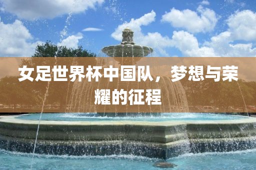 女足世界杯中国队，梦想与荣耀的征程眉山市正发家政服务有限公司