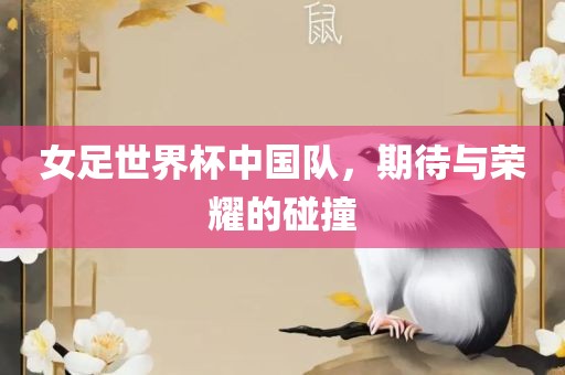 女足世界杯中国队，期待与荣耀的碰撞眉山市正发家政服务有限公司