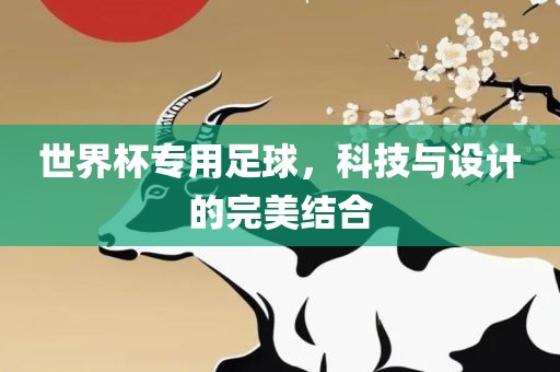 世界杯专用足球，科技与设计的完美结合