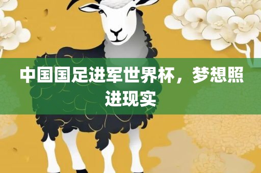 中国国足进军世界杯，梦想照进现实