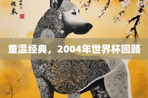 重温经典，2004年世界杯回顾