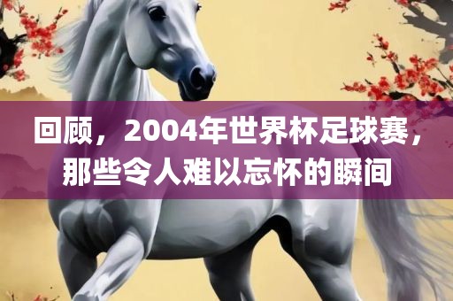 回顾，2004年世界杯足球赛，那些令人难以忘怀的瞬间眉山市正发家政服务有限公司