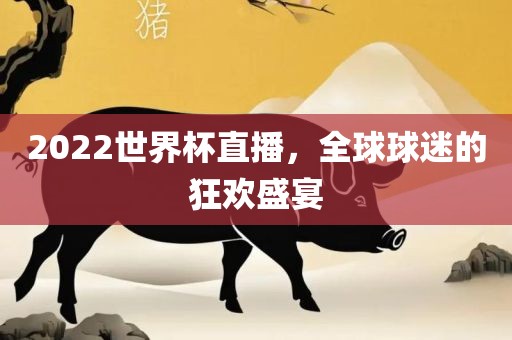 2022世界杯直播，全球球迷的狂欢盛宴眉山市正发家政服务有限公司