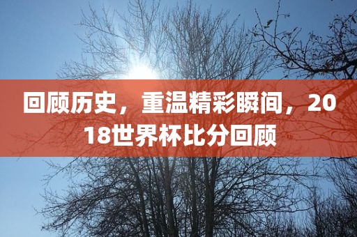 回顾历史，重眉山市正发家政服务有限公司温精彩瞬间，2018世界杯比分回顾