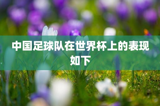 中国足球队在世界杯上的表现如下眉山市正发家政服务有限公司