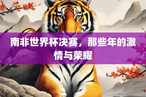 南非世界杯决赛，那些年的激情与荣耀眉山市正发家政服务有限公司