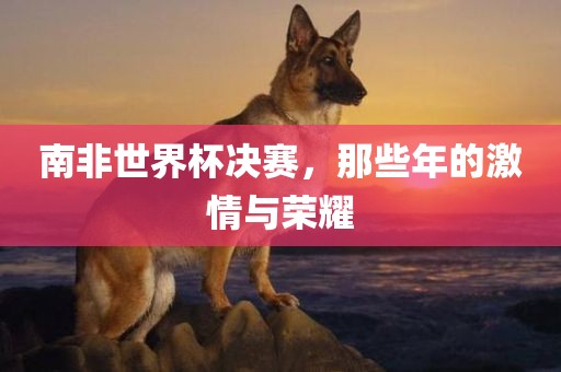 南非世界杯决赛，眉山市正发家政服务有限公司那些年的激情与荣耀