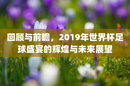 回顾与前瞻，2019年世界杯足球盛宴的辉煌与未来展望眉山市正发家政服务有限公司