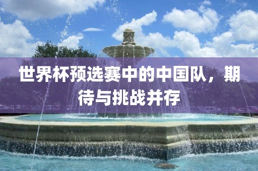 世界杯预选赛中的中国队，期待与挑战并存眉山市正发家政服务有限公司