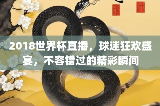 2018世界杯直播，球迷狂欢盛宴，不容错过的精彩瞬间眉山市正发家政服务有限公司