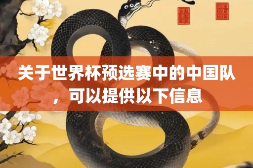 关于世界杯预选赛中的中国队，可以提供以下信息