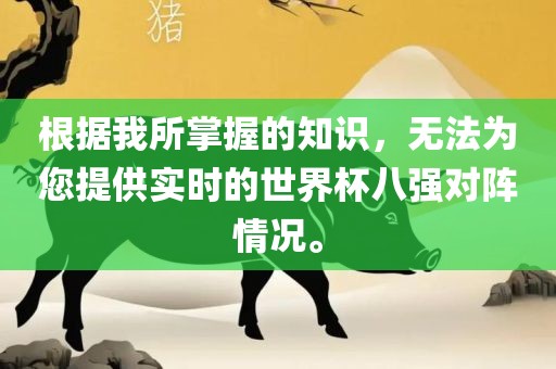 根据我所掌握眉山市正发家政服务有限公司的知识，无法为您提供实时的世界杯八强对阵情况。