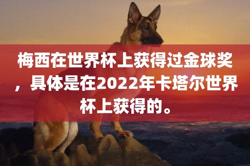 梅西在世界杯上获得过金球奖，具体是在2022年卡塔尔世界杯上获得的。