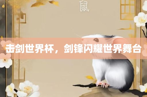 zhaojiaying 第11页