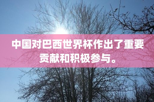 中国对巴西世界杯作出了重要贡献和积极参与。眉山市正发家政服务有限公司