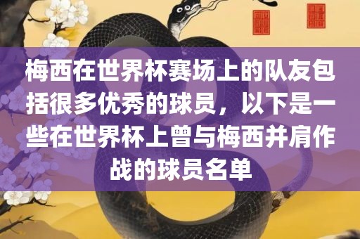 梅西在世界杯赛场上的队友包括很多优秀的球员，以下是一些在世界杯上曾与梅西并肩作战的球员名单