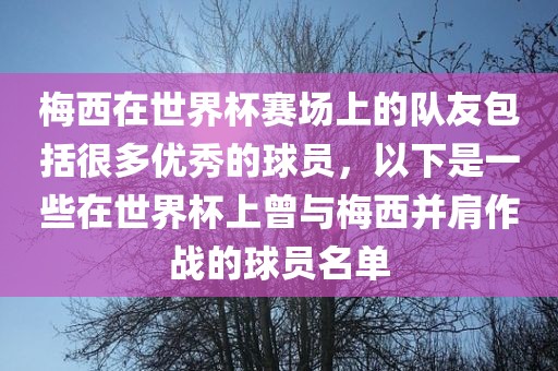 梅西在世界杯赛场上的队友包括很多优秀的球员，以下是一些在世界杯上曾与梅西并肩作战的球员名单眉山市正发家政服务有限公司