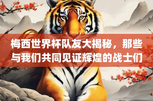 梅西世界杯队友大揭秘，那些与我们共同见证辉煌的战士们