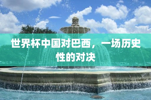 世界杯中国对巴西，一场历史性的对决眉山市正发家政服务有限公司