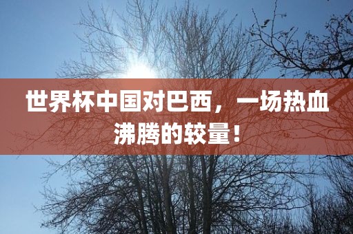 世界杯中国对巴西，一场热血沸腾的较量！眉山市正发家政服务有限公司