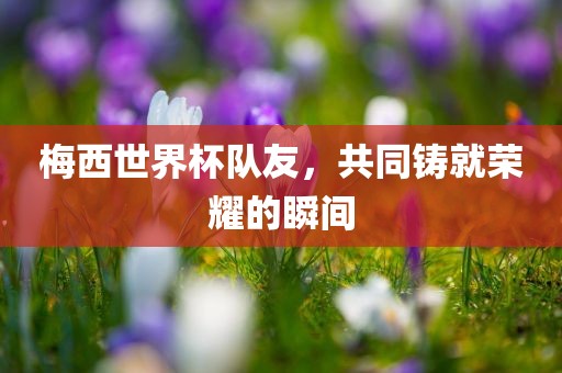 梅西世界杯队友，共同铸就荣耀的瞬间