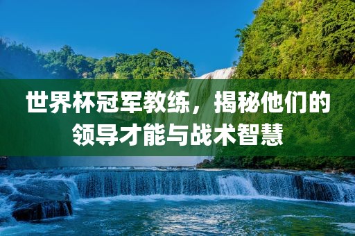 世界杯冠军教练，揭秘他们的领导才能与战术智眉山市正发家政服务有限公司慧