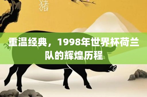 重温经典，1998年世界杯荷兰队的辉煌历程