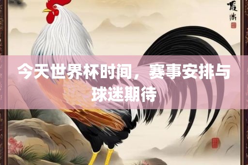 今天世界杯时间，赛事安排与球迷期待
