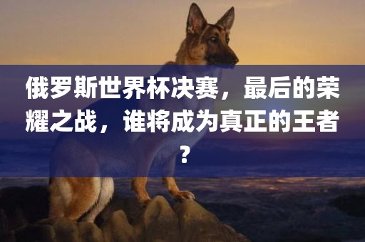 俄罗斯世界杯决赛，最后的荣耀之战，谁将成为真正的王者？