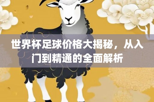 世界杯足球价格大揭秘，从入门到精通的全面解析