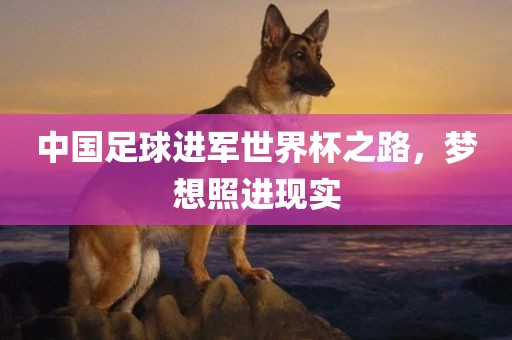 中国足球进军世界杯之路，梦想照进现实