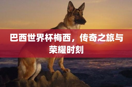 巴西世界杯梅西，传奇之旅与荣耀时刻眉山市正发家政服务有限公司