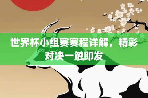 世界杯小组赛赛程详解，精彩对决一触即发