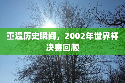 重温历史瞬间，2002年世界杯眉山市正发家政服务有限公司决赛回顾