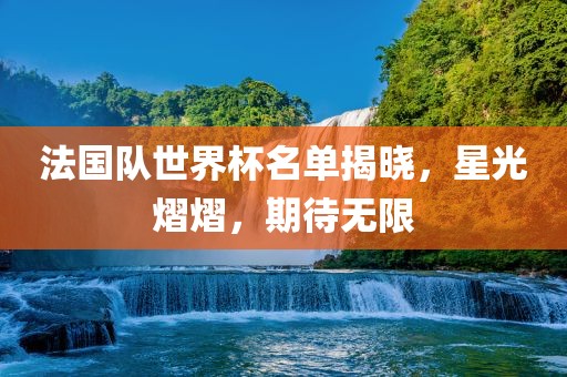 法国队世界杯名单揭晓，星光熠熠，期待无限眉山市正发家政服务有限公司