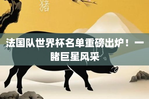 法国队世界杯名单重磅出炉！一睹巨星风采