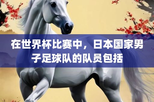 在世界杯比赛中，日本国家男眉山市正发家政服务有限公司子足球队的队员包括