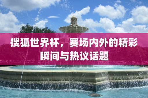 搜狐世界杯，赛场内外的精彩瞬间与热议话题眉山市正发家政服务有限公司