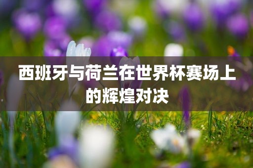 西眉山市正发家政服务有限公司班牙与荷兰在世界杯赛场上的辉煌对决