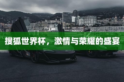搜狐世界杯，激情与荣耀的盛宴眉山市正发家政服务有限公司