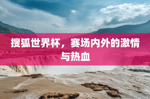搜狐世界杯，赛眉山市正发家政服务有限公司场内外的激情与热血