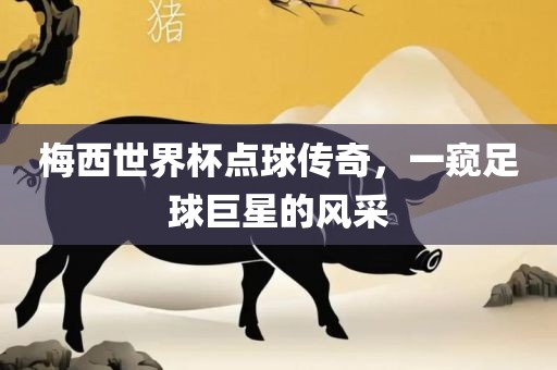梅西世界杯点球传奇，一窥足球巨星的风采